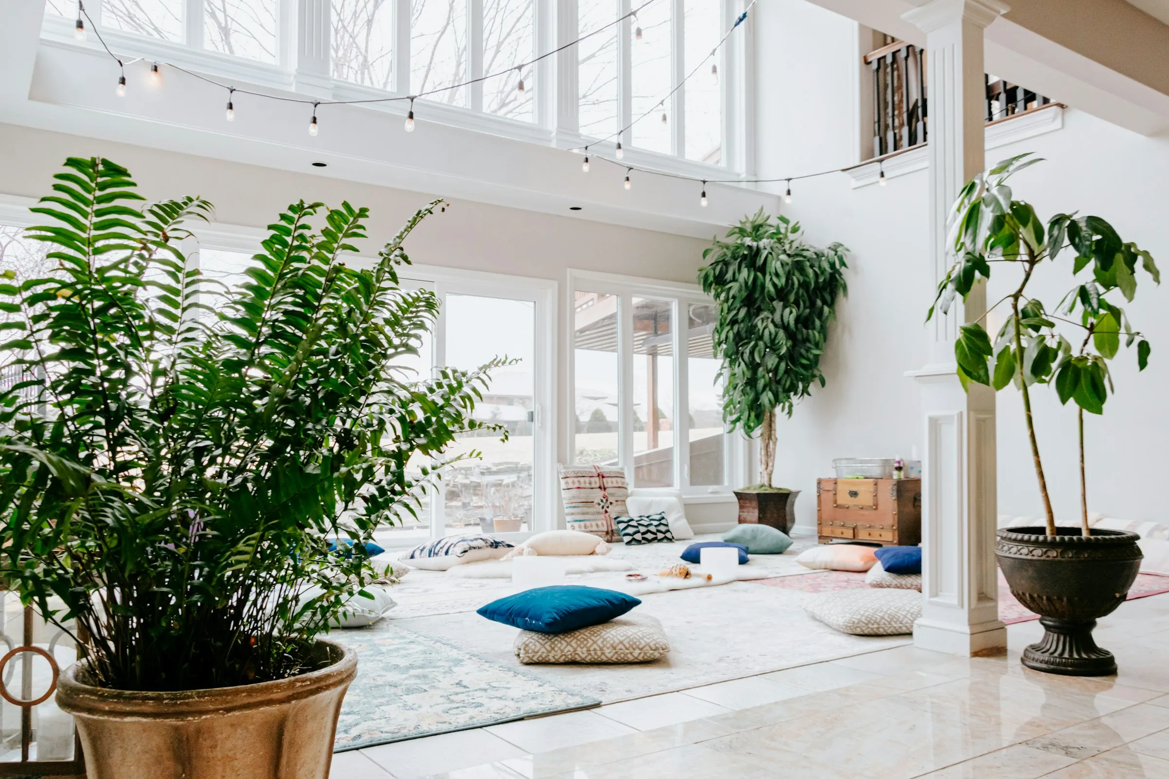 Bright airy room with floor cushions on a rug, large green plants and tall windows